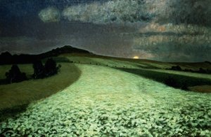 成熟的Wheatfields